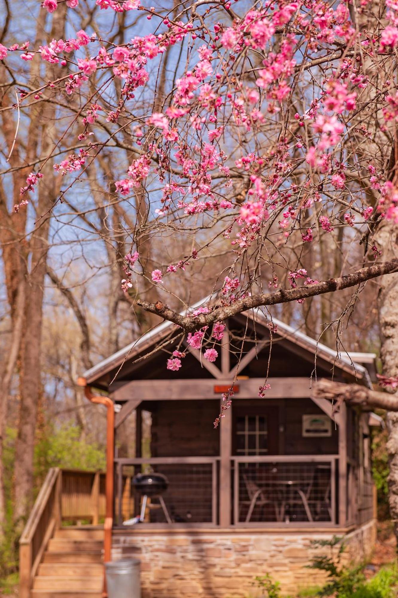 Ryon Tiny Home Cabin City-Side Rustic Retreat Chattanooga Ngoại thất bức ảnh